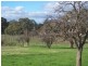 287 Mannes Lane, Emu Creek VIC 3551