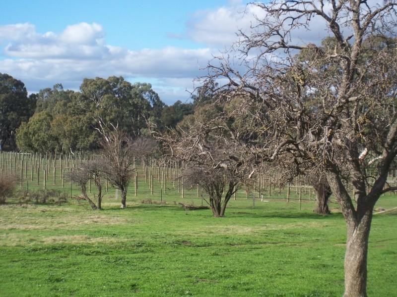 287 Mannes Lane, Emu Creek VIC 3551