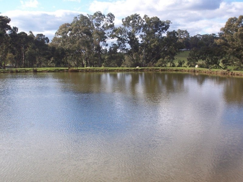 287 Mannes Lane, Emu Creek VIC 3551