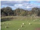 287 Mannes Lane, Emu Creek VIC 3551