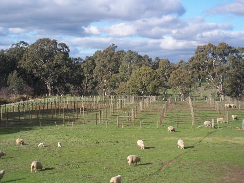 287 Mannes Lane, Emu Creek VIC 3551