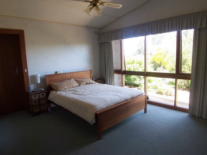 20 Harley Street, Bendigo VIC 3550