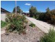 20 Harley Street, Bendigo VIC 3550