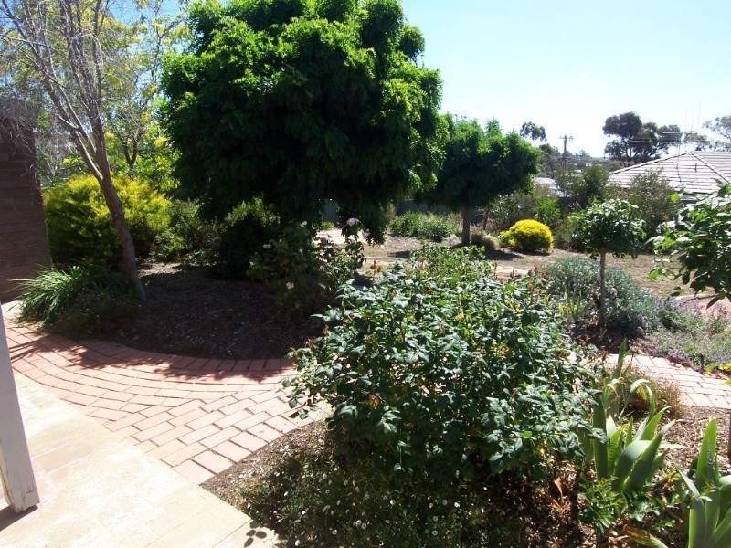 20 Harley Street, Bendigo VIC 3550