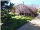 Bendigo VIC 3550