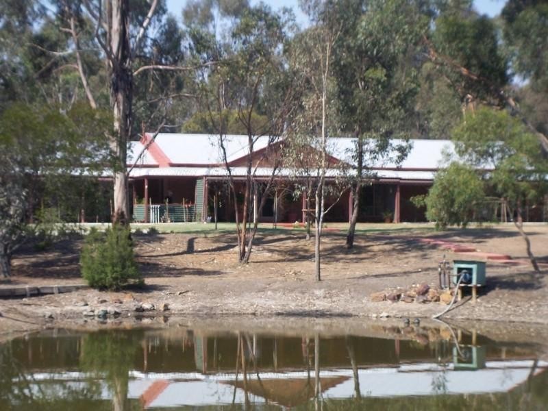 1360 Muckleford-walmer Road, Walmer VIC 3463