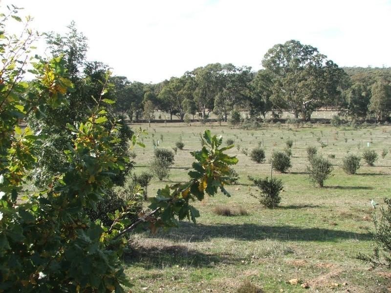 Eppalock VIC 3551