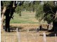 Lot 2 Axedale Goornong Road, Bendigo VIC 3550