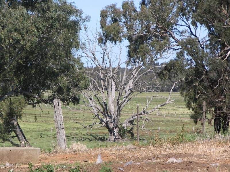 Lot 2 Axedale Goornong Road, Bendigo VIC 3550