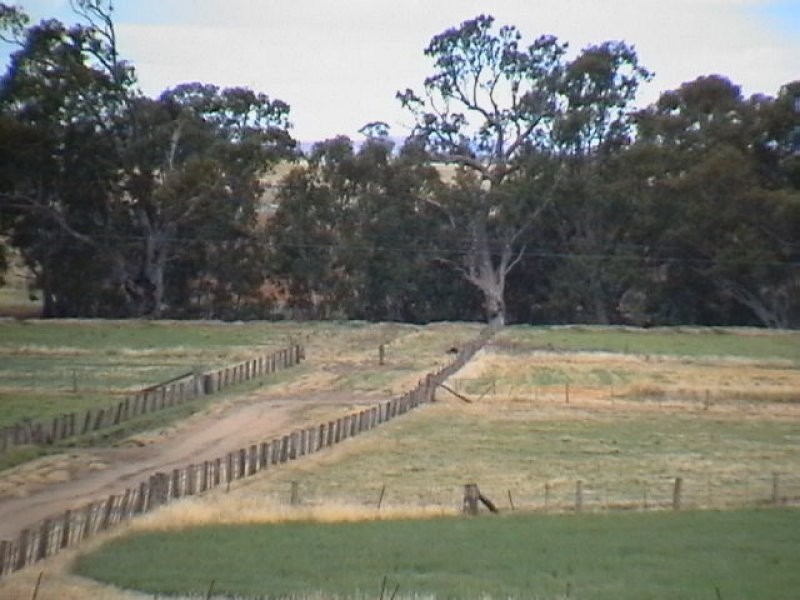 Lot 2 Axedale Goornong Road, Bendigo VIC 3550