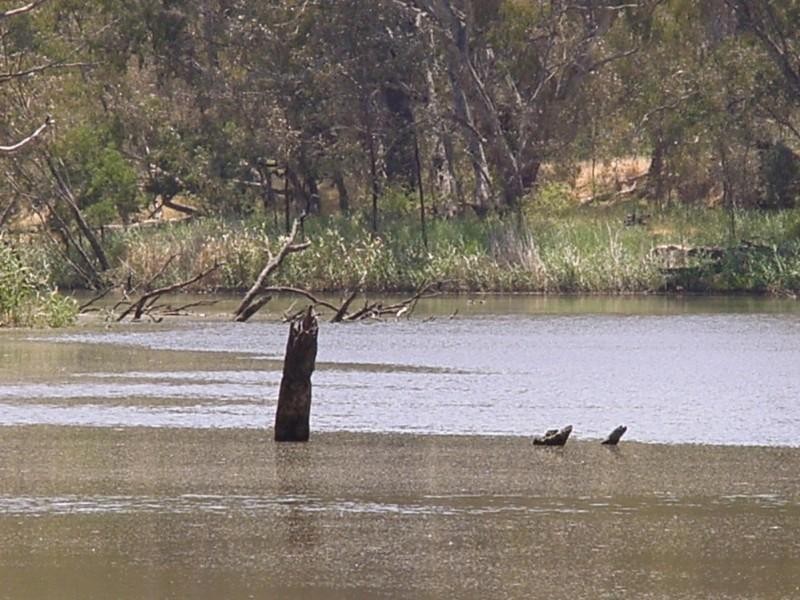 Lot 2 Axedale Goornong Road, Bendigo VIC 3550