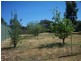 Eaglehawk VIC 3556