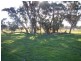 Maldon VIC 3463