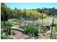 235 Tannery Lane, Mandurang VIC 3551
