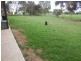 Newbridge VIC 3551