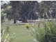 Wedderburn VIC 3518
