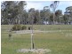 Wedderburn VIC 3518
