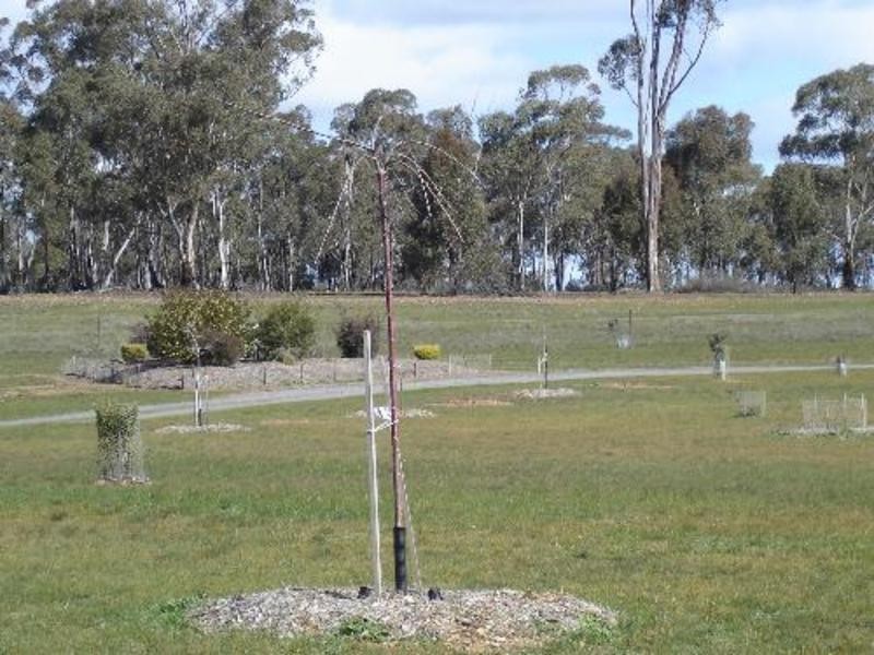 Wedderburn VIC 3518
