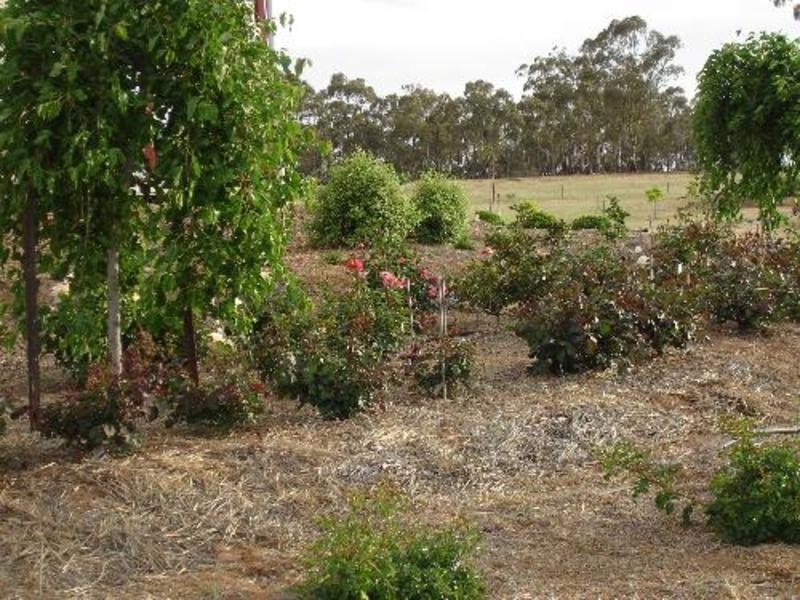 Wedderburn VIC 3518
