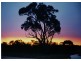 285 Soldier Settlement Road, Ravenswood VIC 3453