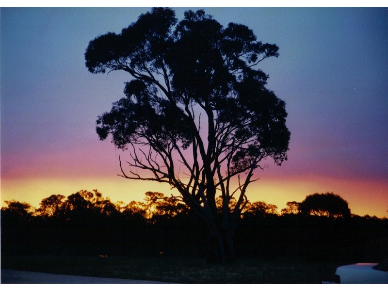 285 Soldier Settlement Road, Ravenswood VIC 3453