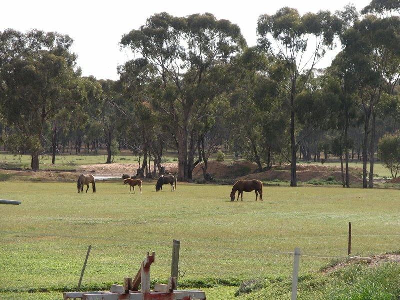 9 Crappers Road, Neilborough VIC 3570