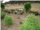 Wedderburn VIC 3518