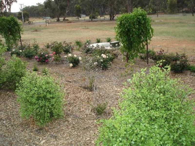 Wedderburn VIC 3518