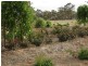Wedderburn VIC 3518