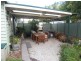 133 Marong Road, West Bendigo VIC 3550