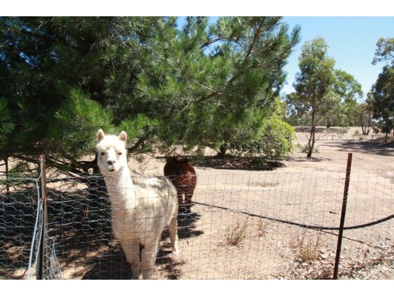 Strathfieldsaye VIC 3551