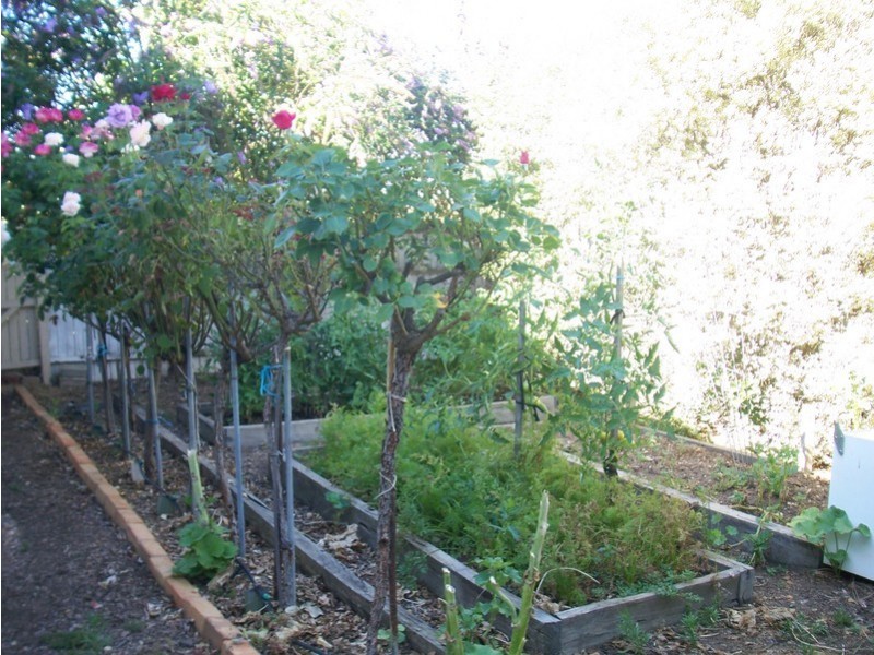 19 Casey Street, Bendigo VIC 3550