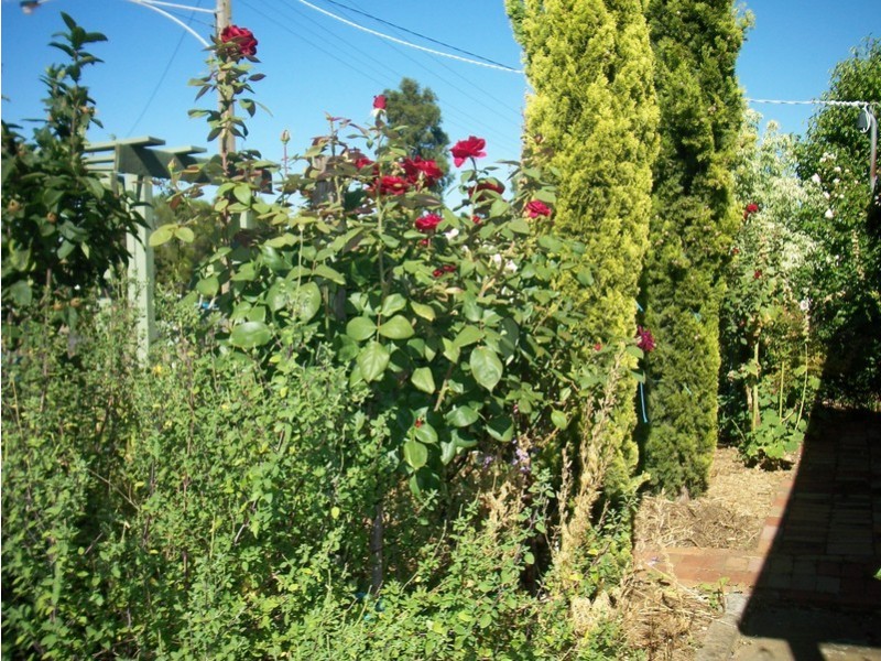 19 Casey Street, Bendigo VIC 3550