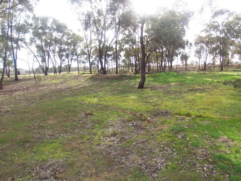 117 Caldow Road, Woodvale VIC 3556