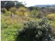 Lot 11, 65 Faradale Drive, Faraday VIC 3451