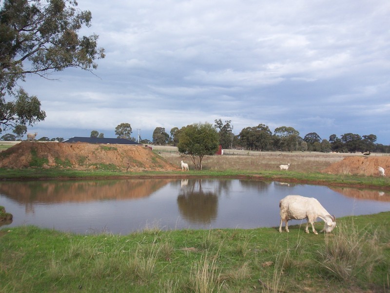 Neilborough VIC 3570