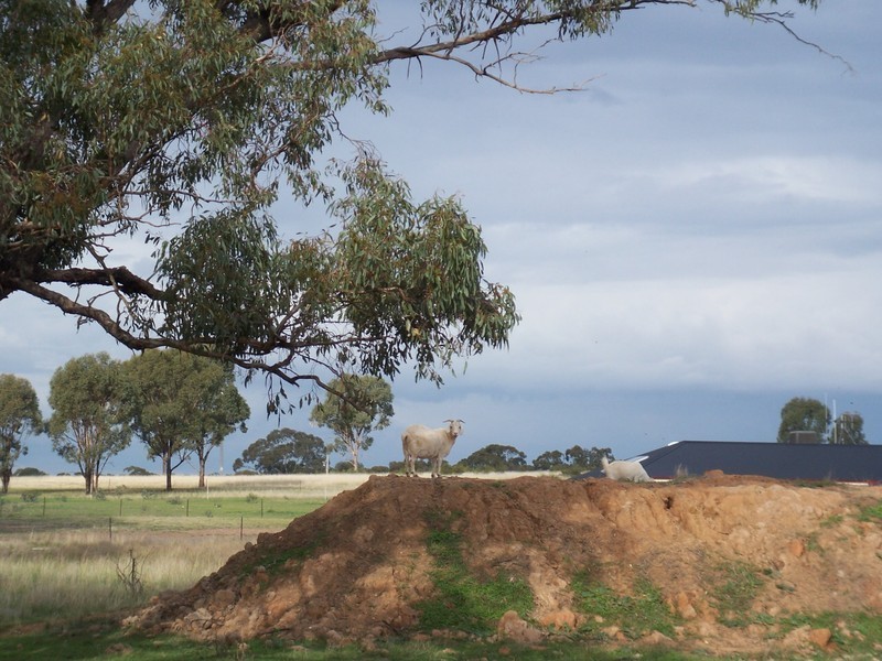 Neilborough VIC 3570