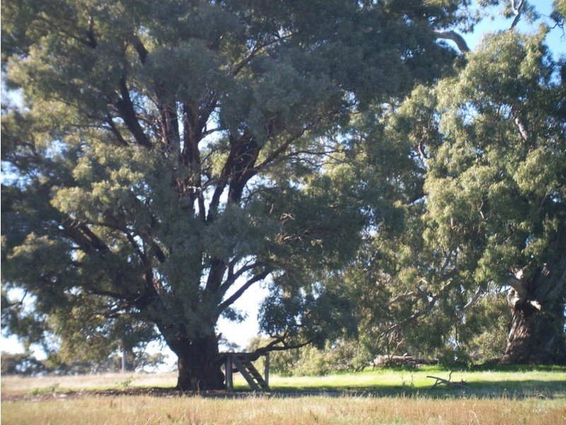 Lot 4 Calder Highway, Ravenswood VIC 3453