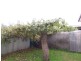 10 Hoskins Street, Quarry Hill VIC 3550
