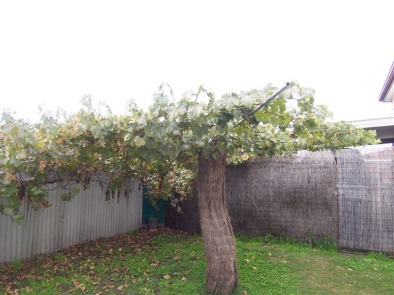 10 Hoskins Street, Quarry Hill VIC 3550