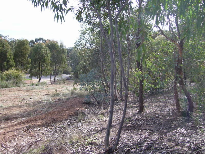 Maiden Gully VIC 3551