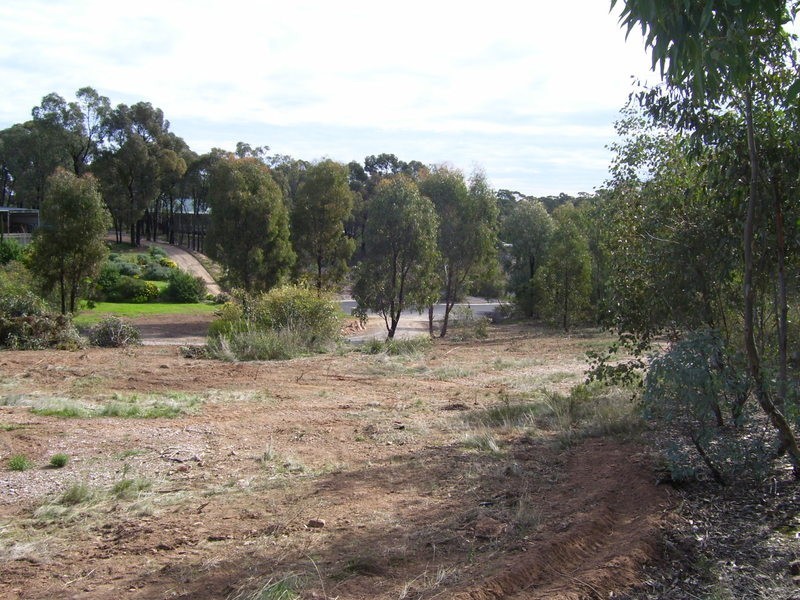 Maiden Gully VIC 3551