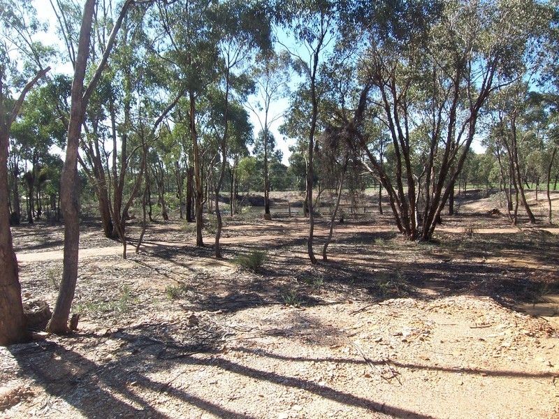 559 Bendigo – Pyramid Hill Road, Woodvale VIC 3556