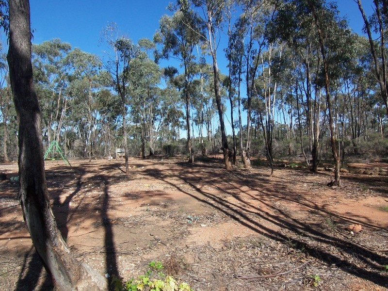 559 Bendigo – Pyramid Hill Road, Woodvale VIC 3556