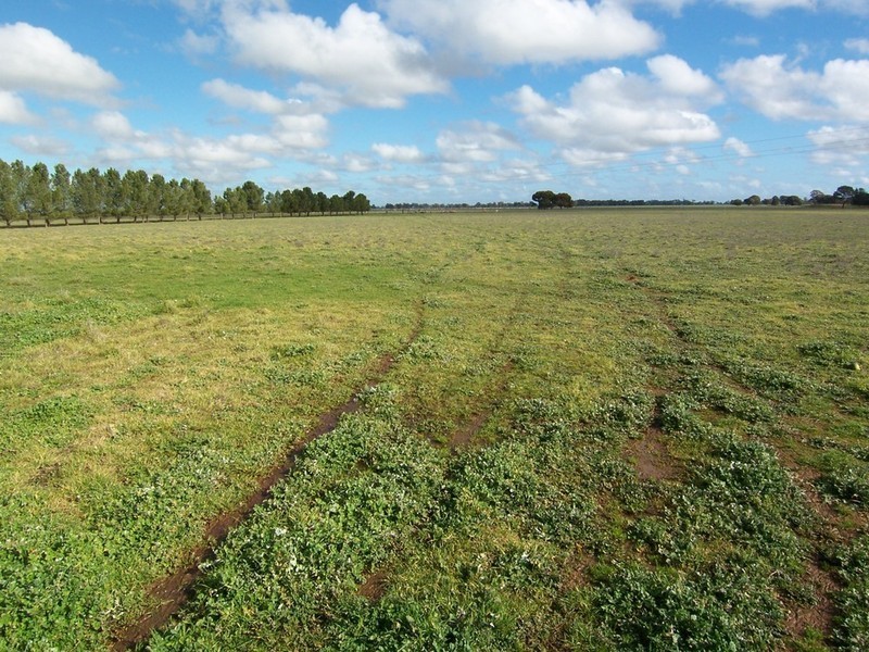 3366 Pyramid Hill Road, Raywood VIC 3570