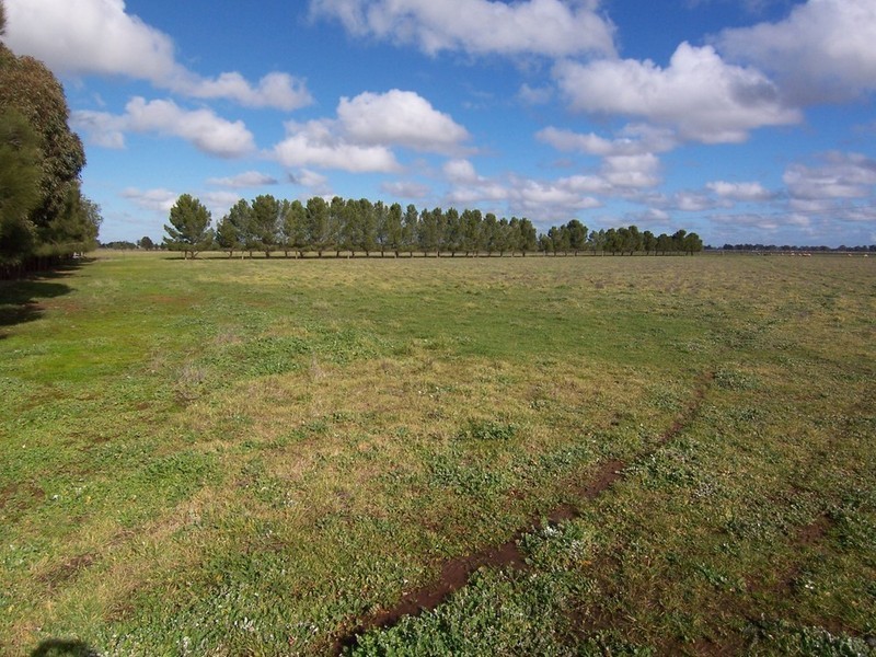 3366 Pyramid Hill Road, Raywood VIC 3570