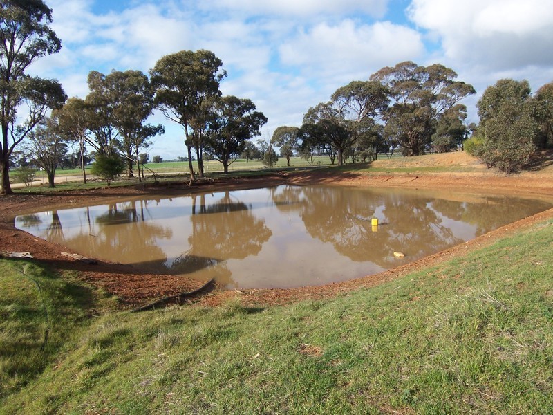 3366 Pyramid Hill Road, Raywood VIC 3570