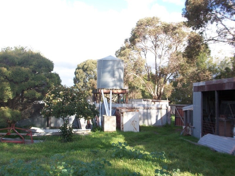 3366 Pyramid Hill Road, Raywood VIC 3570