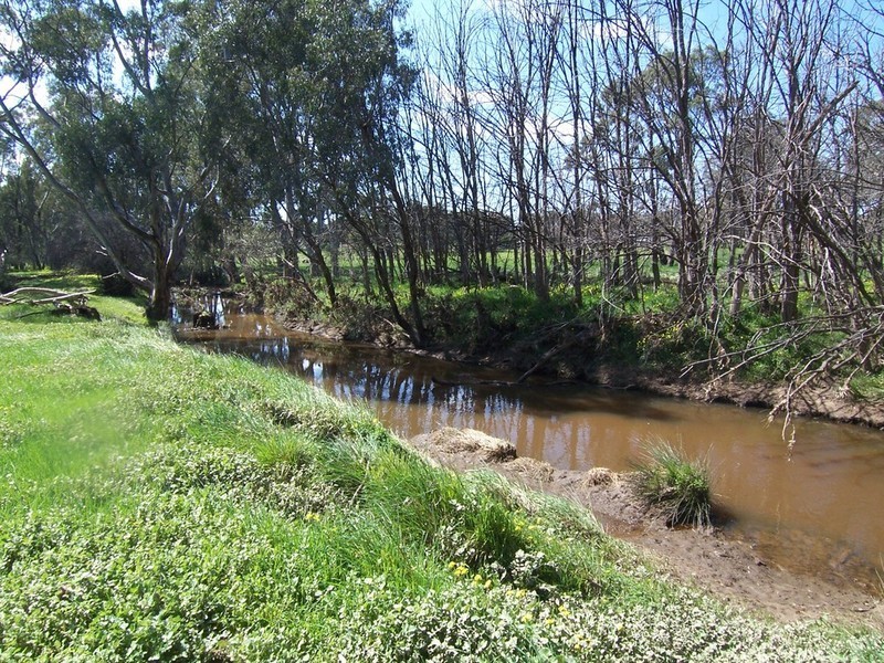 Lots 8 & 9 Boswell Road, Lockwood VIC 3551