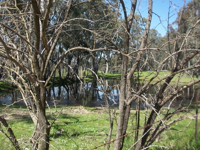 Lots 8 & 9 Boswell Road, Lockwood VIC 3551